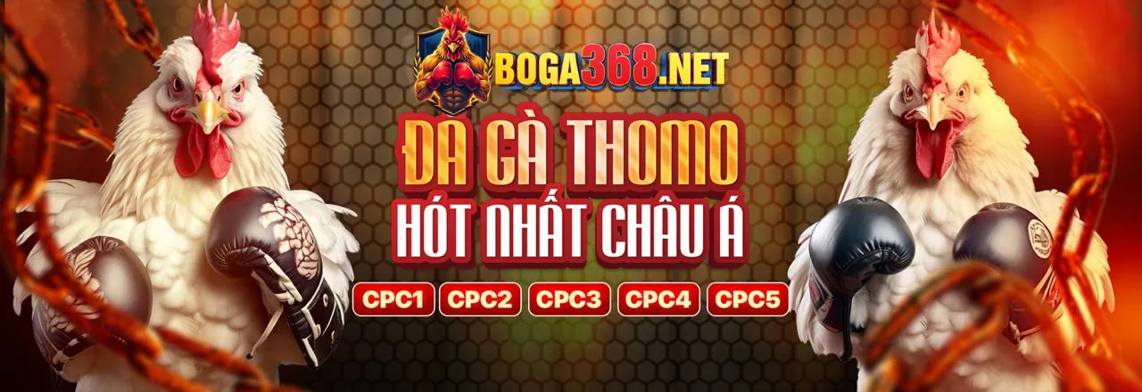 Tổng quan các tính năng nổi bật của ứng dụng 22bet